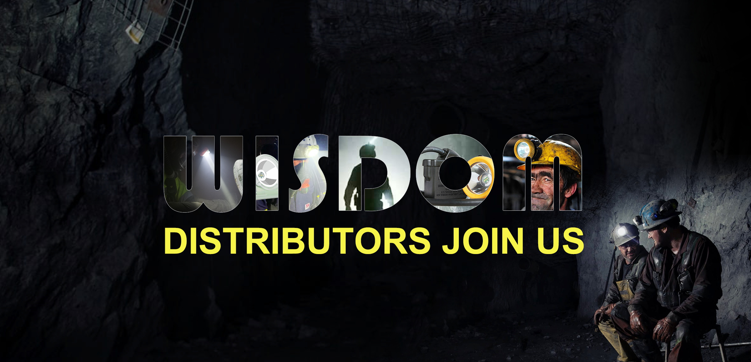 WISDOM looking for distributors