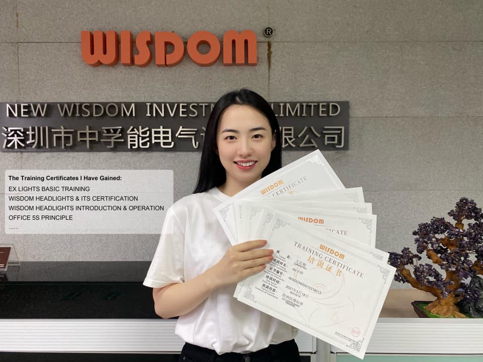 WISDOM certificates 2