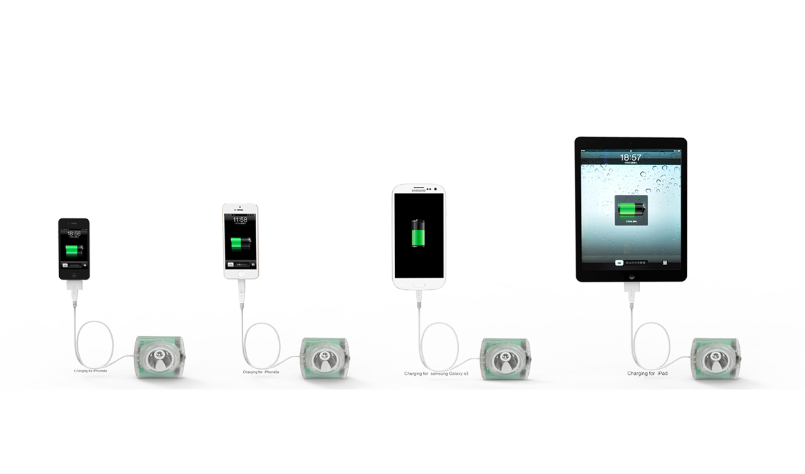 Output line: Suitable for devices with different connectors