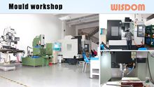 WISDOM Slide: Mould Workshop